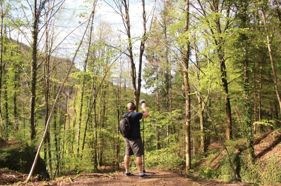 foret